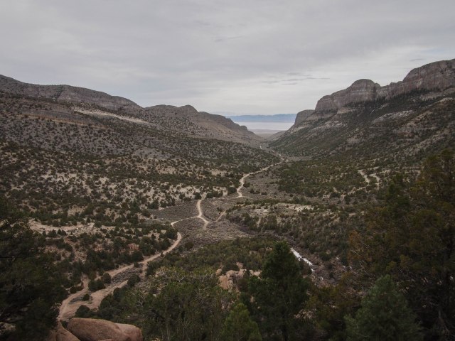 And the view down Miller Canyon